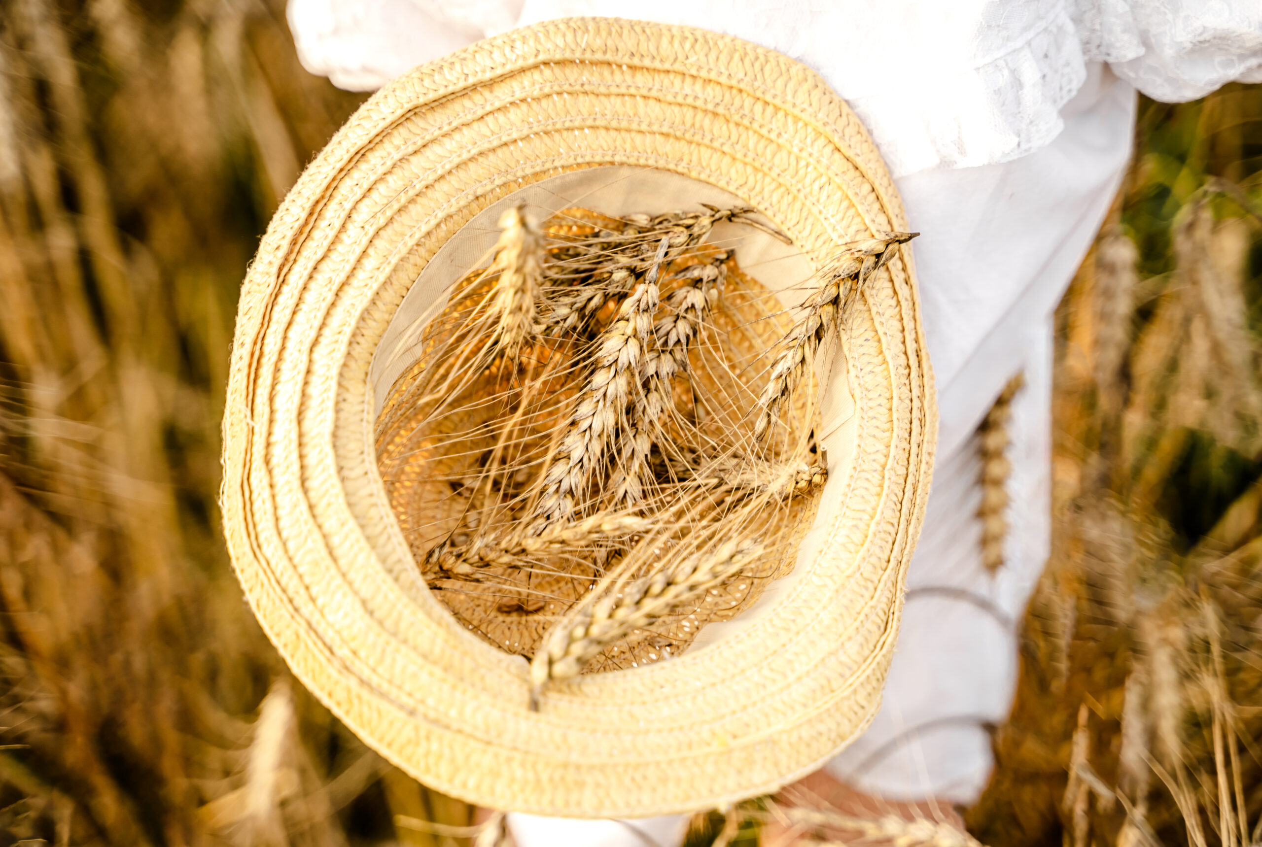 Happy girl in white dress with straw hat full of ears of wheat, rye, barley walking in yellow, orange field. Summer's yellow sun, nature freedom outdoors. Autumn harvest time rural scene. Own land